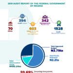 infographic-summary_analysis_2019_audit_report_fg