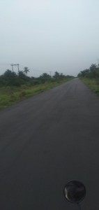 19. CONSTRUCTION OF ASE ASABA ASE ROADBRIDGES (13.35KM & BRIDGES) IN ASE ASABA DELTA STATE (4)