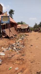 AFOR OGIDI ROAD (3)