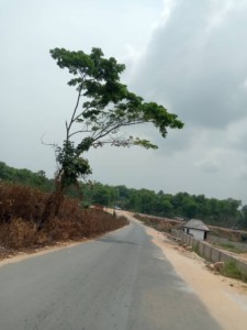 Constructions Of Odukpani – Akim – Akim Road In Odukpani Lga, Cross River State (83)