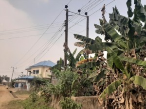 INSTALLATION OF 1 NO. 300KVA, 330415KV TRANSFORMER AT IFA IKOT OKPON, UYO LGA IN AKWA IBOM STATE. (3)