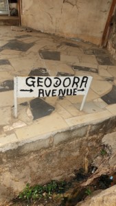 PROVISION OF SOLAR STREET LIGHTS AT GEODORA AVENUE, ALADINMA, IMO STATE. (2)